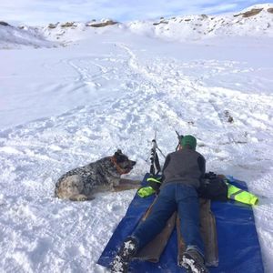 Meet your Posher, Nathan